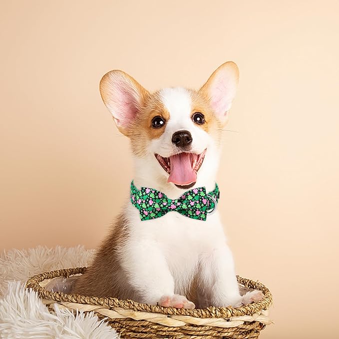·MR. CHUBBYFACE· St.Patrick's Pink Green Clover Dog Collar with Bowtie, Cute Clovers Shamrock Metal Buckle Dog Collar, Adjustable Shamrock Pet Collar with for Small Medium Large Dogs