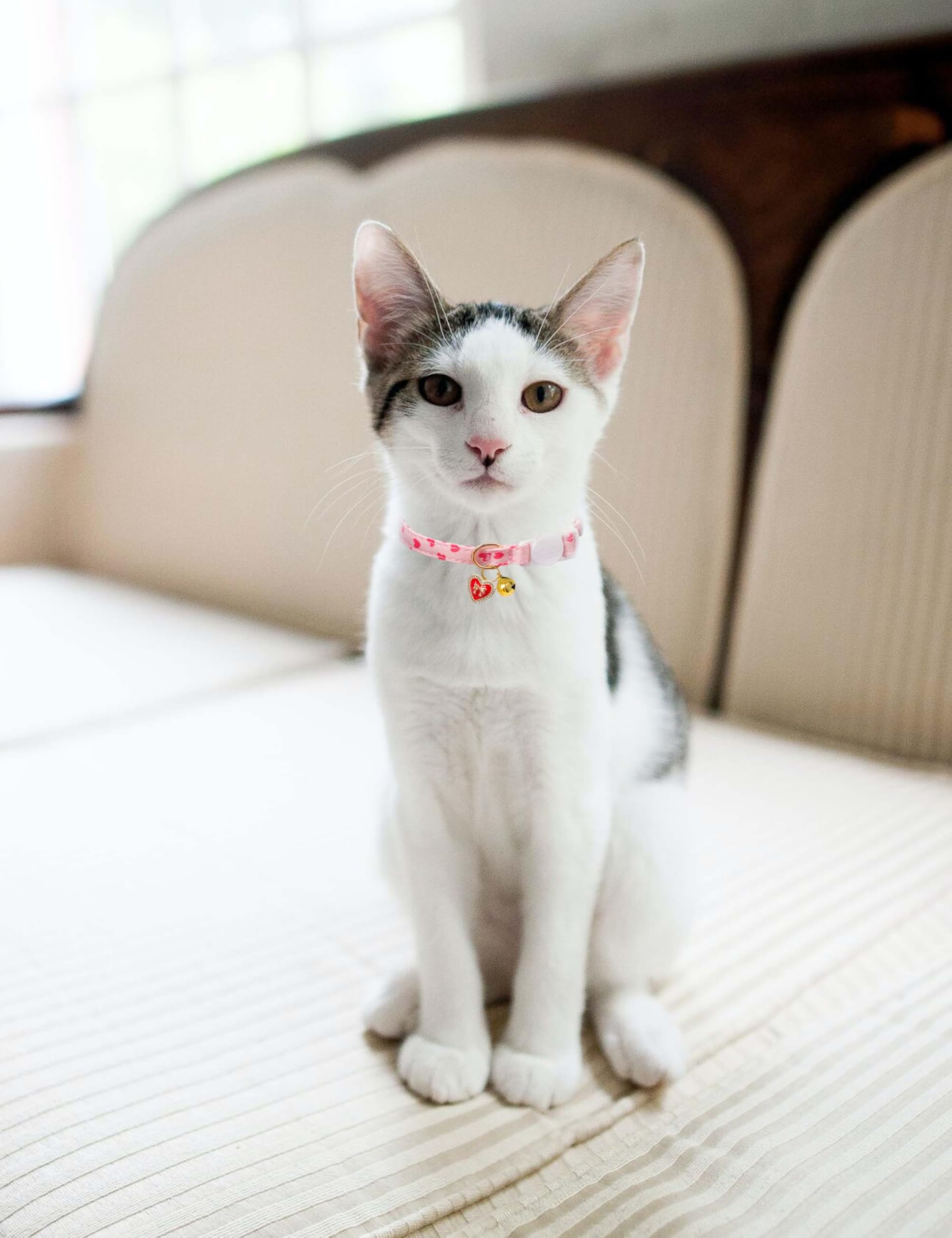 Cat Collar Breakaway with Bells,3 Pack Safety Adjustable Pet Collars,Ideal for Girl Boy Kittens. (Orange Green Pink)