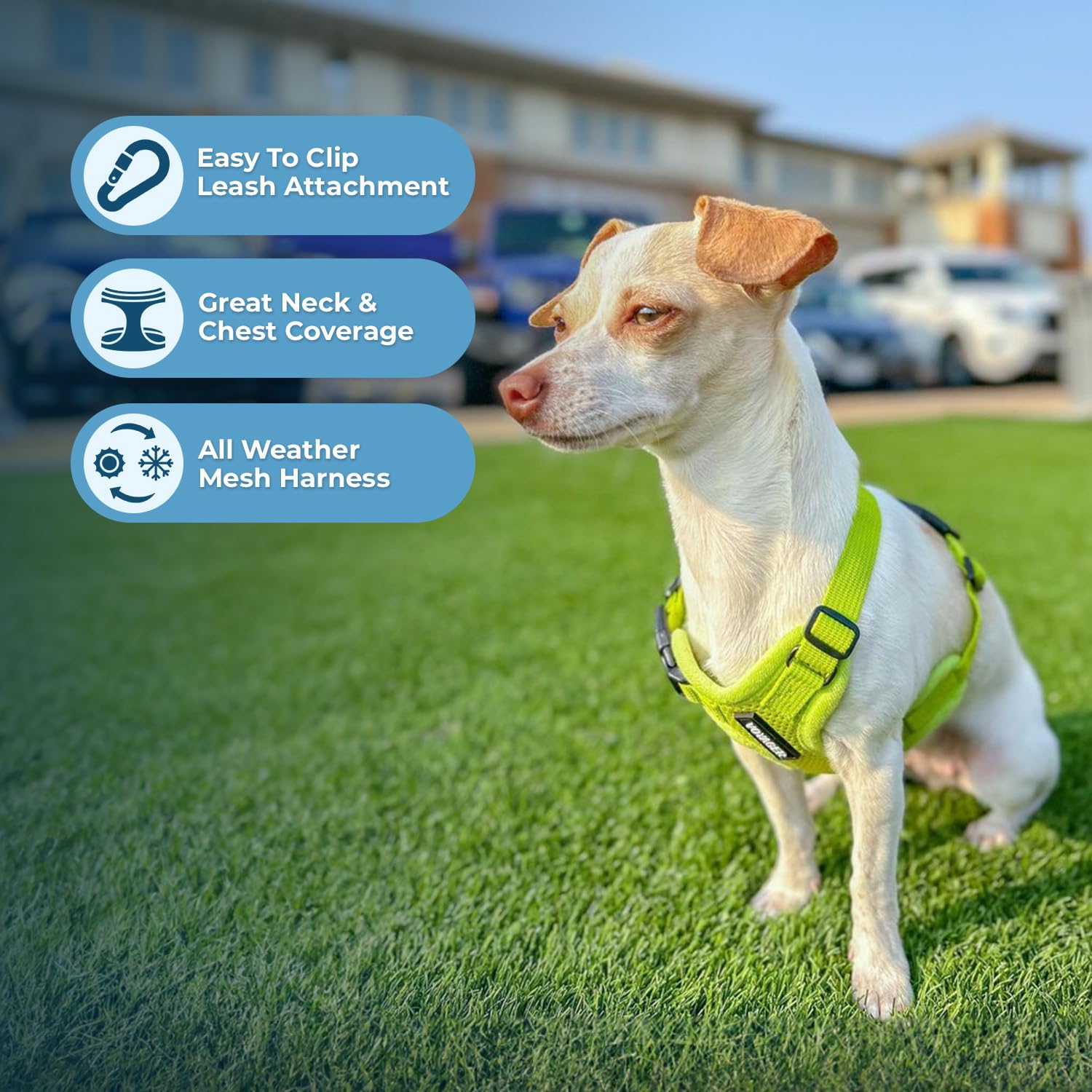 Best Pet Supplies Voyager Step-in Air All Weather Mesh Harness and Reflective Dog 5ft Leash Combo with Neoprene Handle, for Small, Medium and Large Breed Puppies - Lime Green, Small