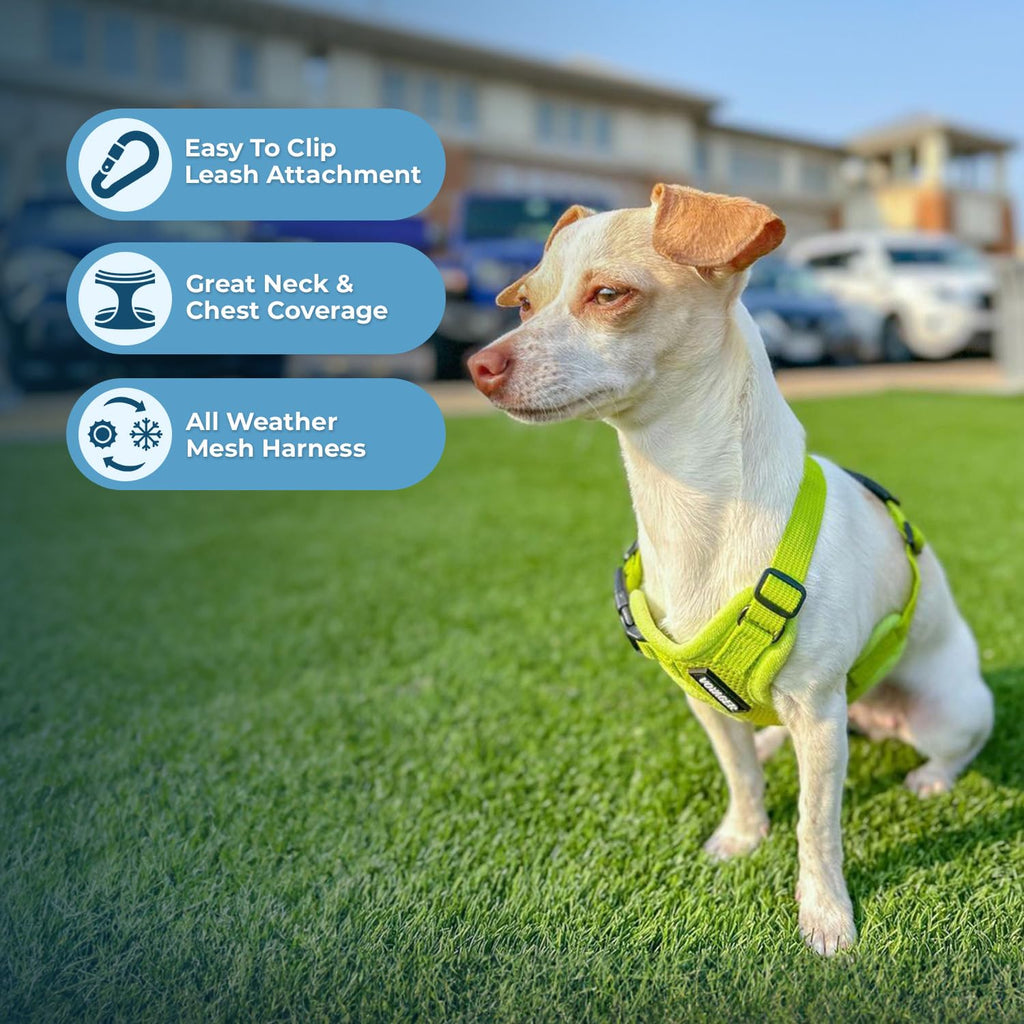 Best Pet Supplies Voyager Step-in Air All Weather Mesh Harness and Reflective Dog 5ft Leash Combo with Neoprene Handle, for Small, Medium and Large Breed Puppies - Lime Green, Medium