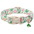 Babole Pet St Patricks Day Dog Collar for Medium Dogs - Cute Pastel Lucky Clover Dog Collars, Lightweight Adjustable Irish Green Festival Dogs Collars with Quick Release Buckle M
