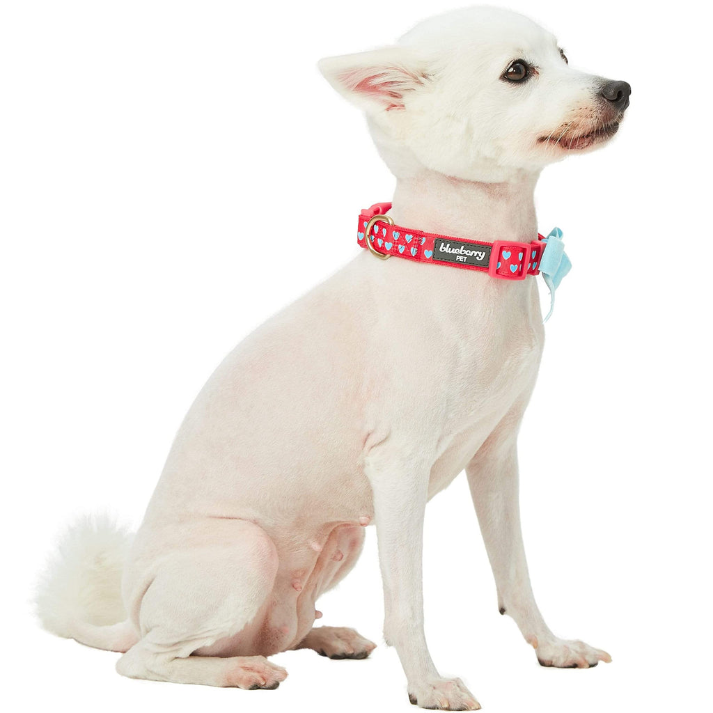 Blueberry Pet Valentines Day Dog Collar with Velvety Bowtie, Heart in Lust Red, Small, 12"-16" Neck, Adjustable, Eco-Friendly, Dog Collars for Medium Dogs & Small Dogs, Puppy Collar
