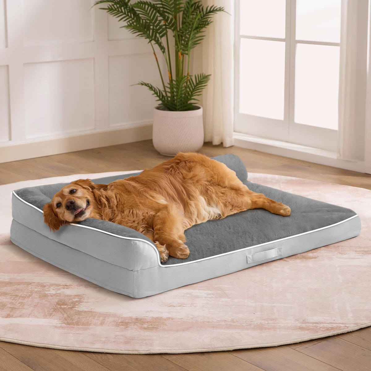 Aeroluxe XXL Orthopedic Dog Bed, Extra Large Dogs, 48"x35"x7.5", Beige