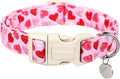 DOGWONG Fall Dog Collar, Orange Checkered Dog Collar Adjustable Soft Cute Pet Dog Collars Cute Plaid Puppy Necklace for Small Medium Large Dogs — Large