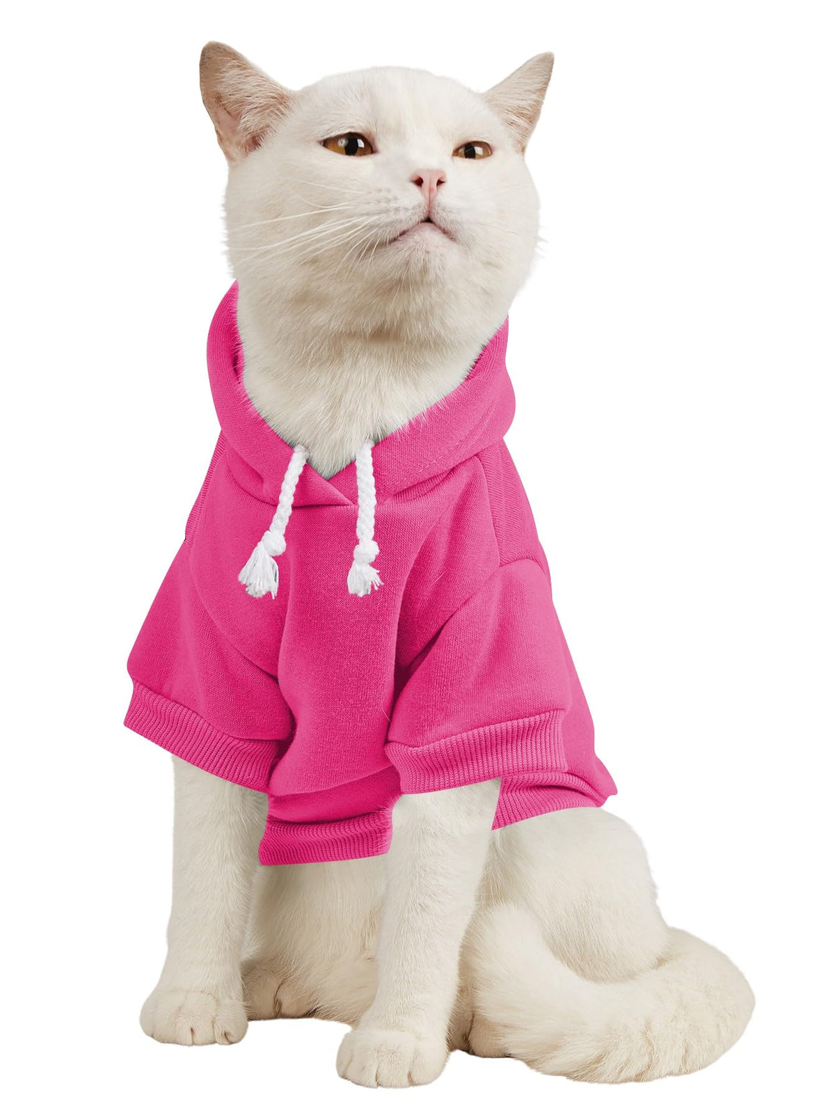 QWINEE Basic Dog Hoodie Sweatshirt Puppy Sweater Warm Cat Costumes Pet Clothes for Chihuahua Puppy Kitten Small Medium Dogs Yellow X-Small