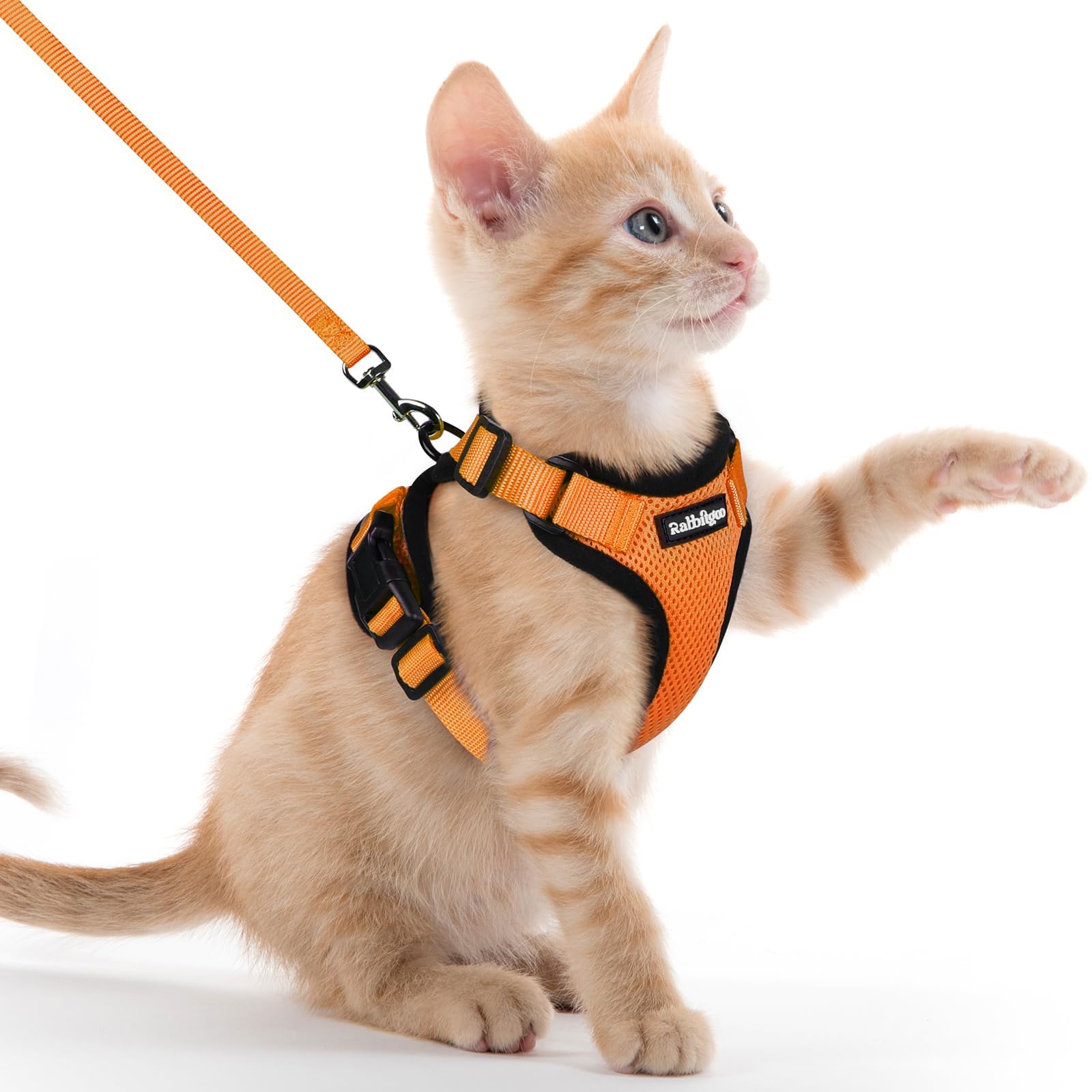 rabbitgoo Cat Harness and Leash Set, Escape Proof Vest, Emerald