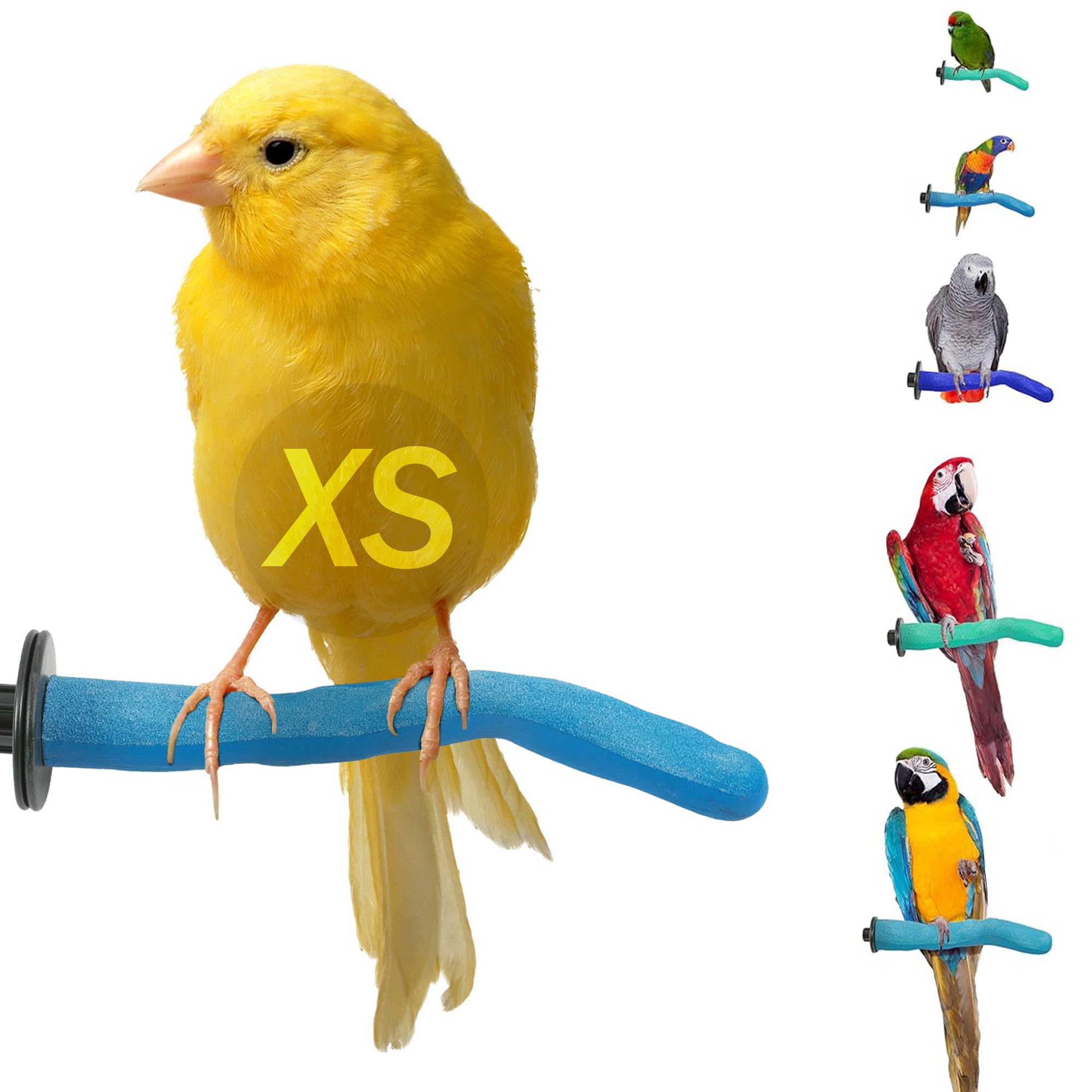 Sweet Feet and Beak Safety Pumice Bird Perch, X-Small Pedicure Perch, Blue