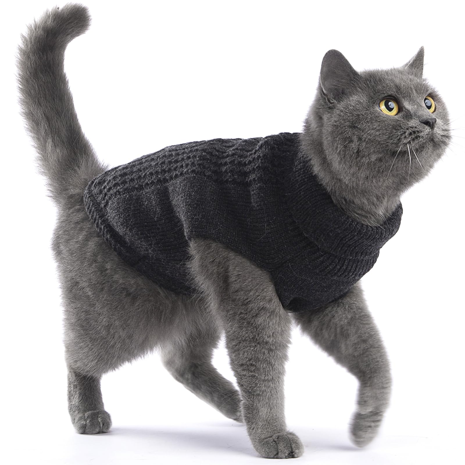 Jnancun Cat Sweater Stretchy,19 Colors,6 Sizes,Snug Winter (Dark Gray, Small, Vest)