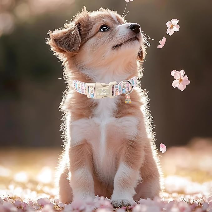 Babole Pet Easter Dog Collar for Puppy Small Dogs - Pastel Easter Bunny Collars for Female Dogs, Cute Spring Girl Dog Collar, Lightweight Adjustable Cartoon Holiday Pet Collars XS