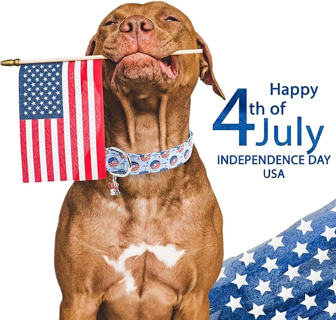 Faygarsle Patriotic Dog Collar, 4th of July Design, American Flag Pattern, Light Blue Summer Design for Small Medium Large Dogs, L