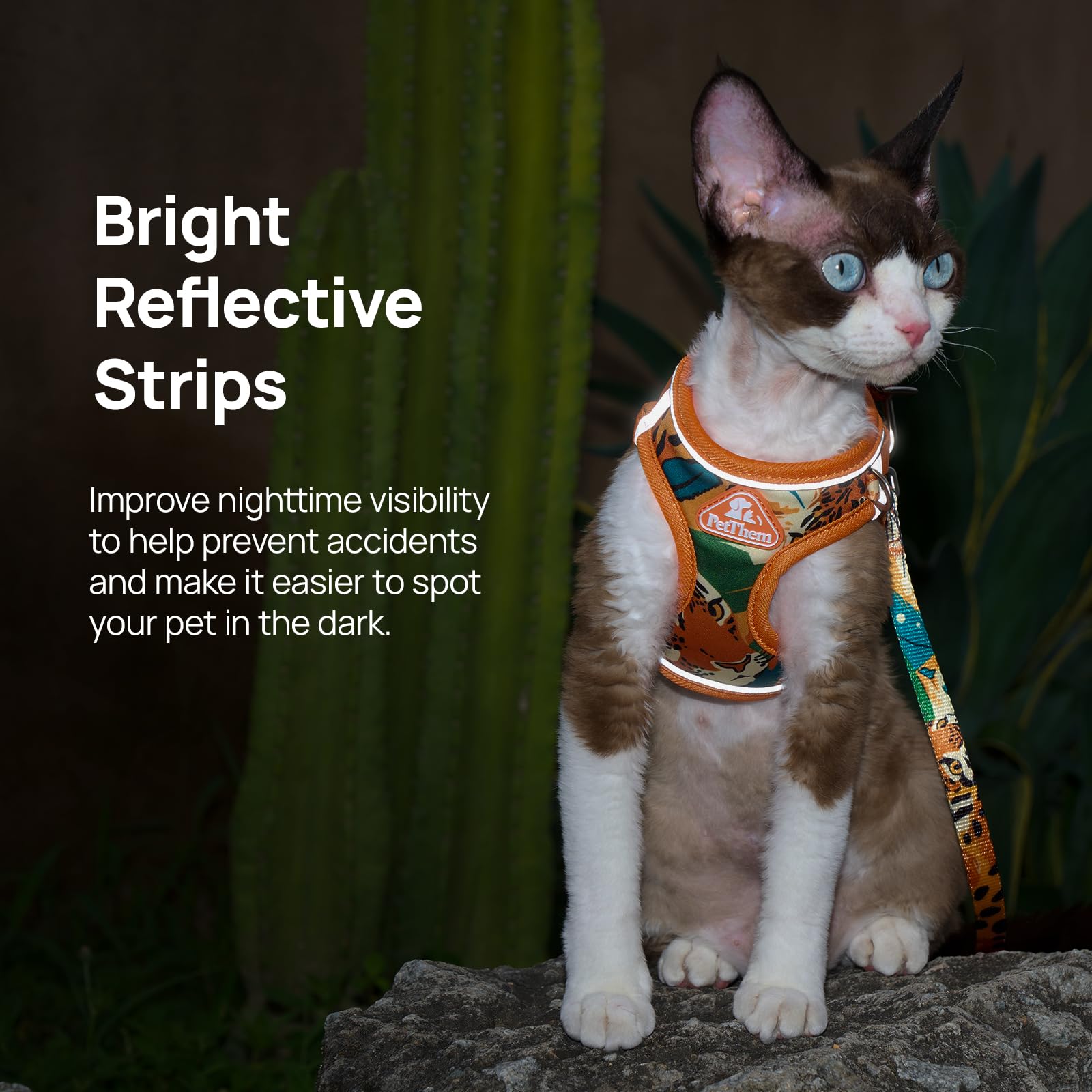 Cat Harness and Leash Set, Step-in Escape Proof Adjustable Vest Harness for Small Medium Large Cats, Lightweight Soft Breathable Reflective Kitten Harness, Easy to Wear for Walking Travel, Camping, XS