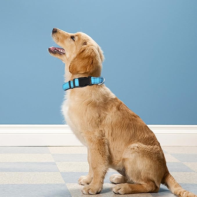 Reflective Dog Collar, Adjustable Soft Neoprene Padded Nylon Pet Collars with Buckle for Large Dogs, Sky Blue,L