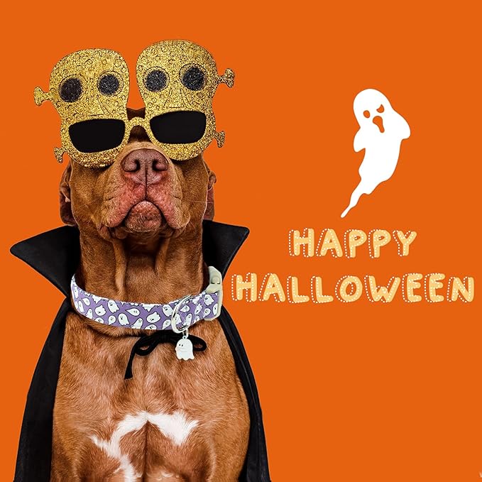Faygarsle Halloween Dog Collar with Charm, Purple with Ghost Pattern, for Small Medium Large Dogs, S