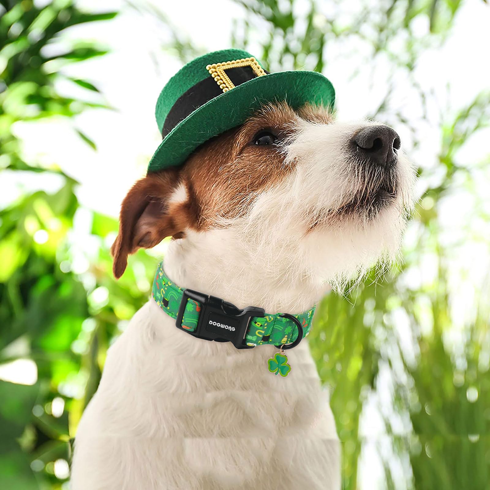 DOGWONG St Patrick's Dog Collar- Green Clovers Dog Collar, Adjustable Cotton Shamrock Pet Collar Cute Lucky Charm Puppy Collars for Small Medium Large Dogs