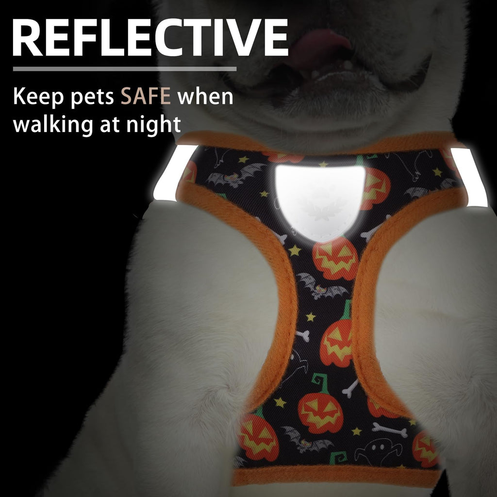 PUPTECK Dog Harness, Collar and Leash Set No Pull for Small Medium Sized