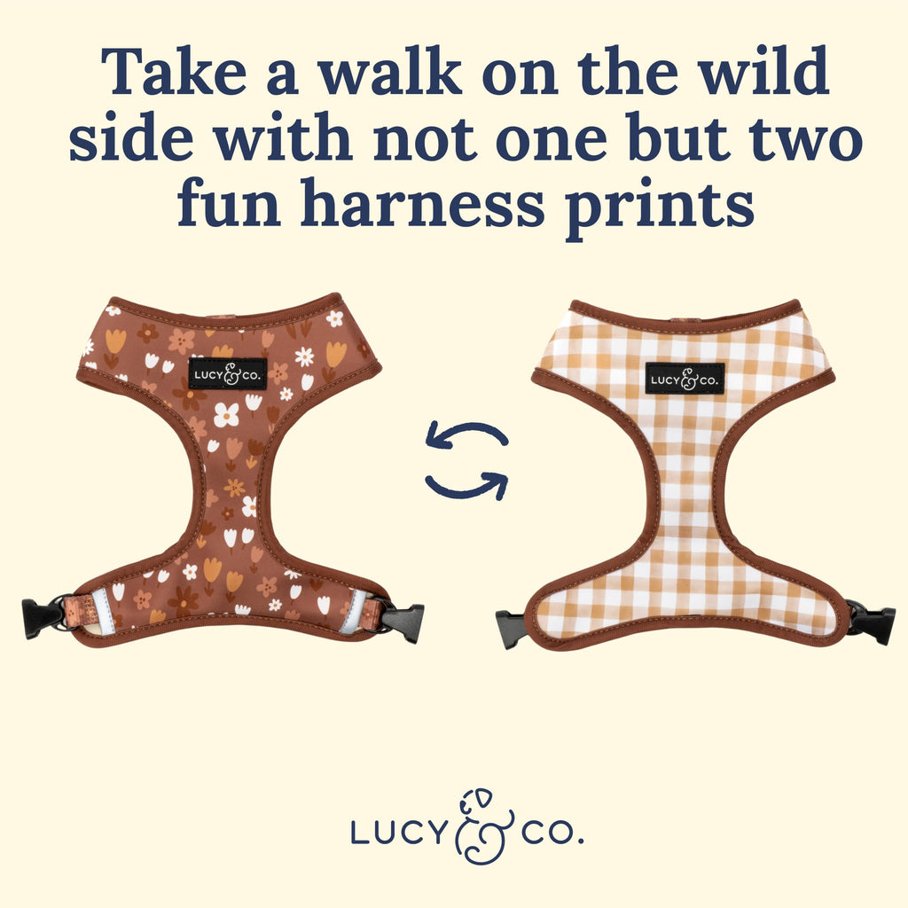 Lucy & Co. Reversible Dog Harness - Water-Repellent Neoprene, Dual-Print Design, Easy Swap Style, Adjustable Comfort Fit - Chocolate Meadows Reversible Harness - X-Large