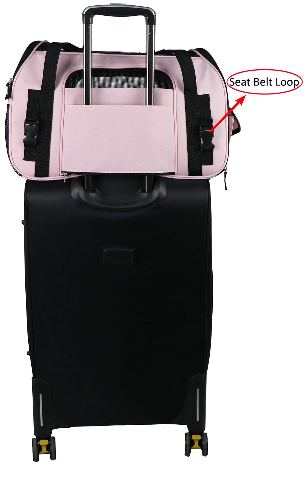EliteField Soft-Sided Pet Carrier for Cats & Small Dogs (3-Year Warranty)
