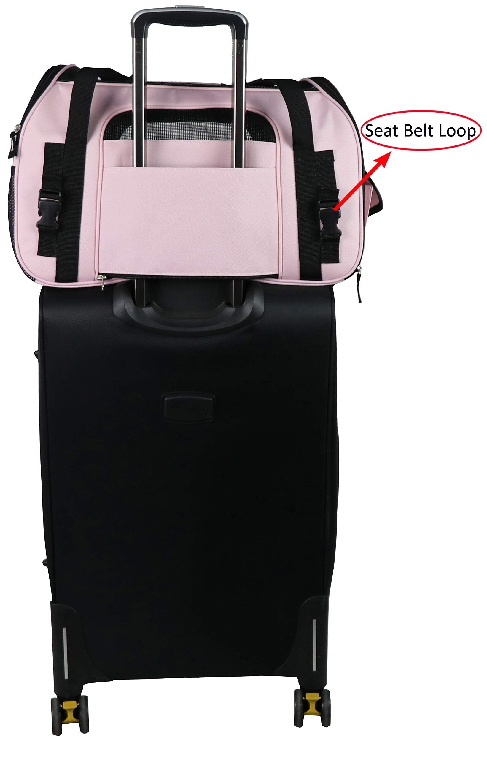 EliteField Soft-Sided Pet Carrier for Cats & Small Dogs (3-Year Warranty)