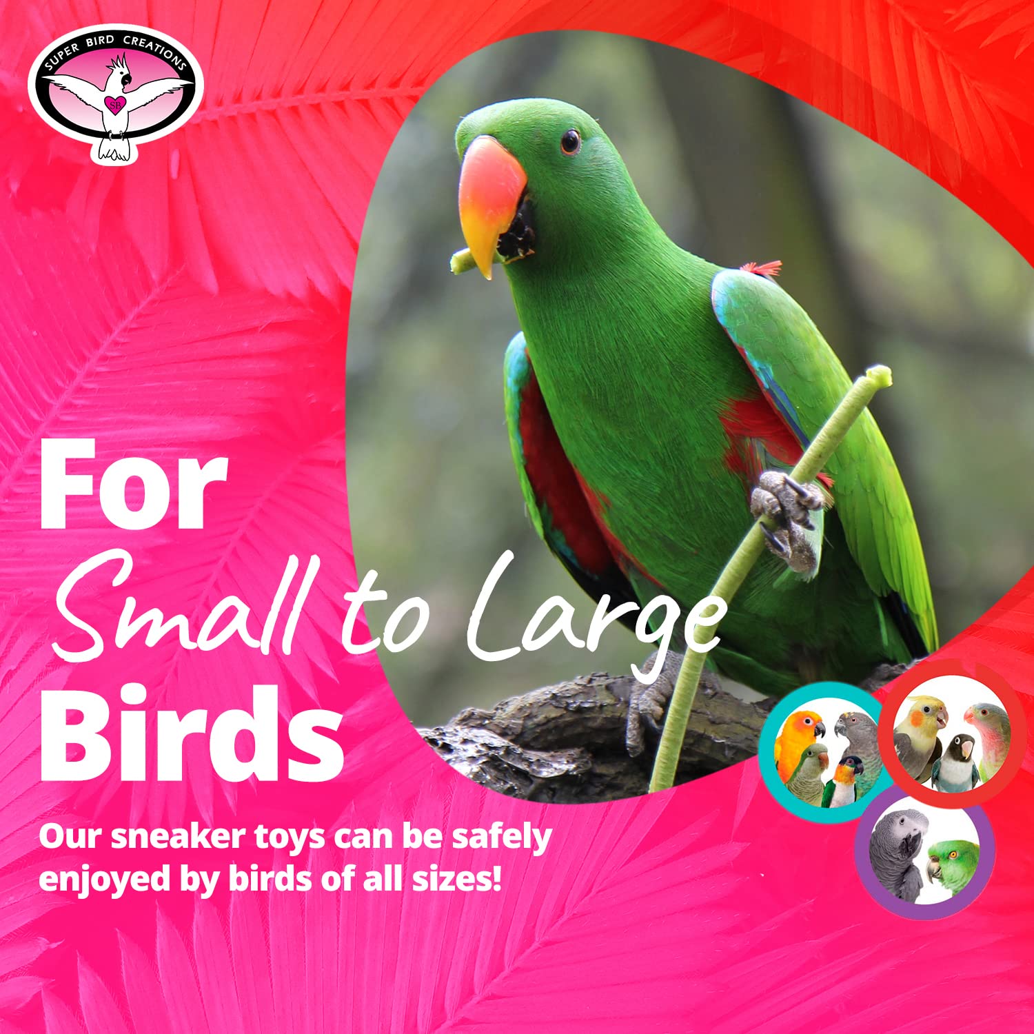 Super Bird Creations SB50010 Sneaker Bird Toy - Durable Safe Chew Toy - Ideal for Cockatiels Parakeets Parrots Small to Large Birds - Vibrant, Assorted Colors 3" x1-1/2 x 1-3/8" (12 Pack)