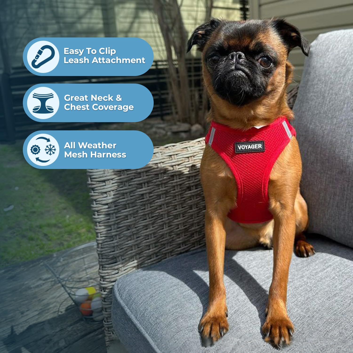 Best Pet Supplies Voyager Step-in Air All Weather Mesh Harness and Reflective Dog 5ft Leash Combo with Neoprene Handle, for Small, Medium and Large Breed Puppies - Red, X-Small