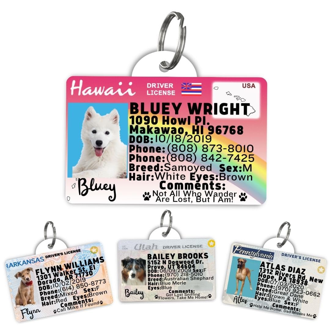 Dog Tags Personalized, Dog ID License Tag for Pets (Washington, Tag)