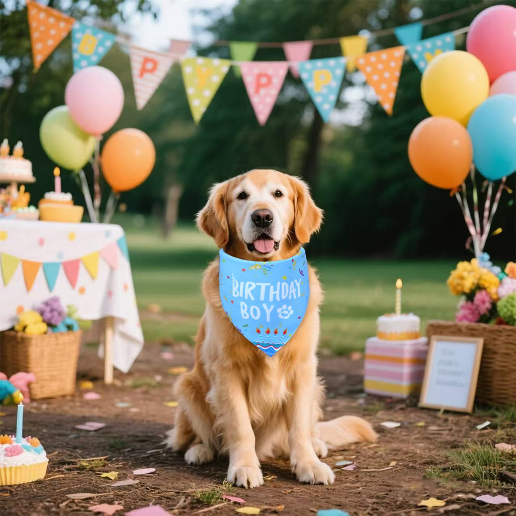 WoffBow Dog Birthday Boy Bandana for Medium Dogs, Reversible Blue Scarf