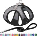 AIITLE Comfortable Dog Harness and Leash Set for Walking - Step in Vest Harness,Reflective Bands, Adjustable No Pull Puppy Essentials, for Small Dogs and House Cats Black XS