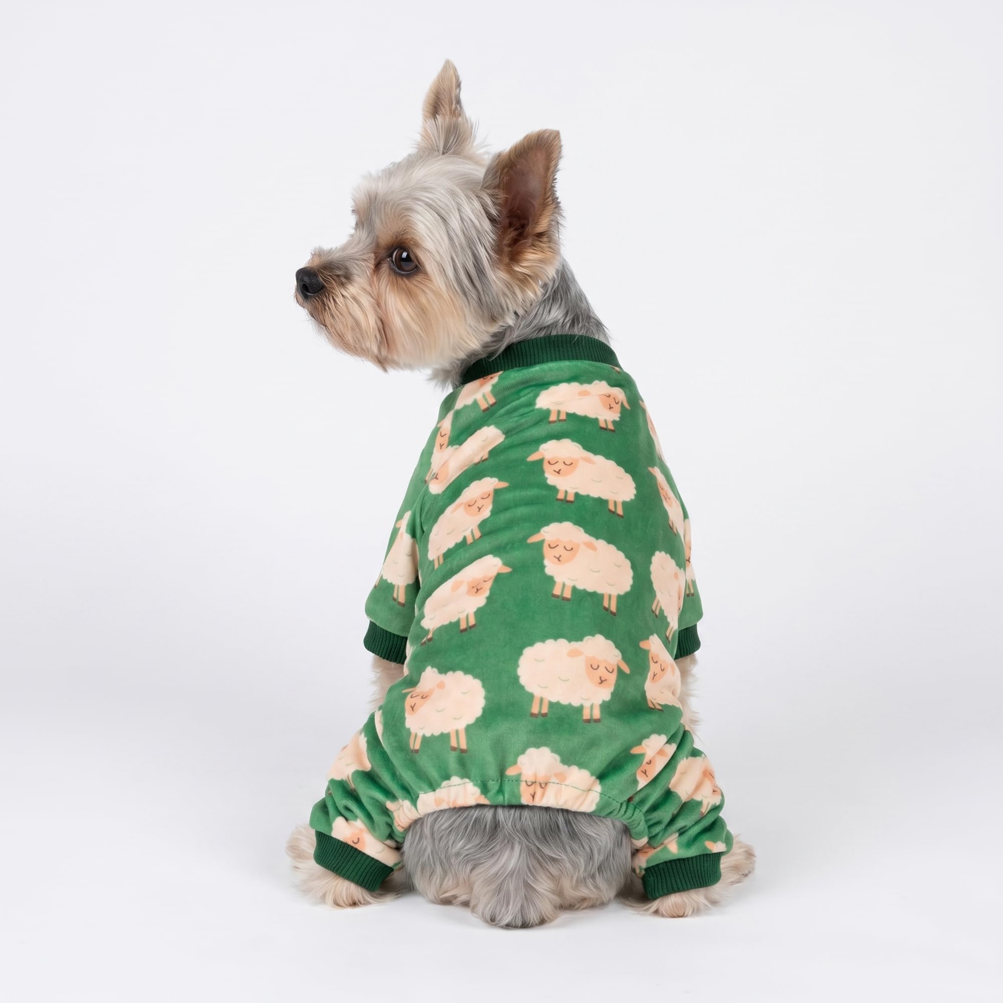Fitwarm Funny Sheep Dog Pajamas, Warm Winter Dog Clothes for Small Dogs Boy Girl, Cozy Pet Onesie with Feet, Green, White, XS