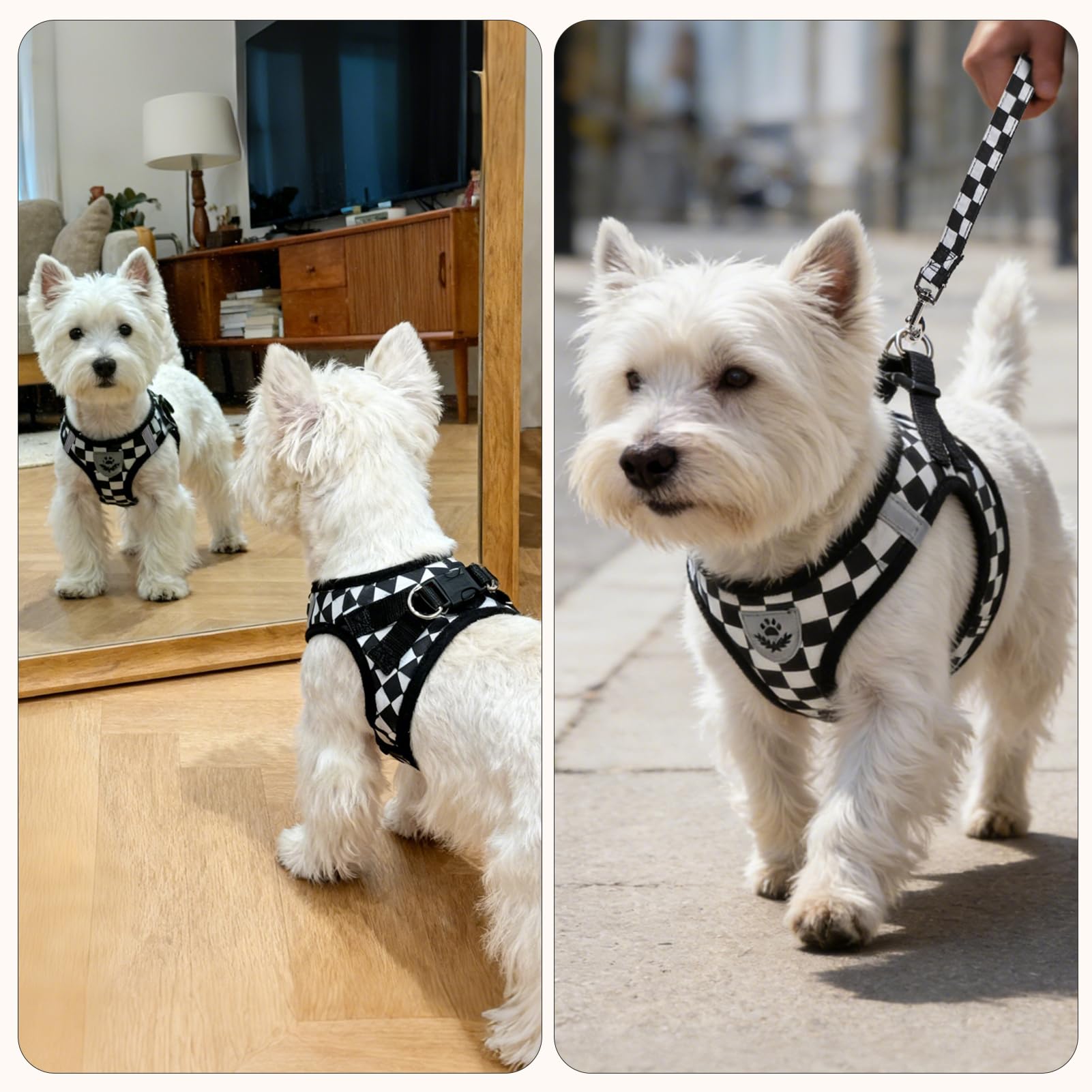 PUPTECK Dog Harness, Collar and Leash Set No Pull for Small Medium Sized