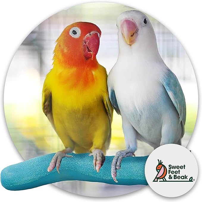 Sweet Feet and Beak Brid Cage Safety Pumice Perch - Trims Nails and Beak - Promotes Healthy Nails and Beaks - Safe Non-Toxic Bird Supplies for Bird Cages - Large 12"