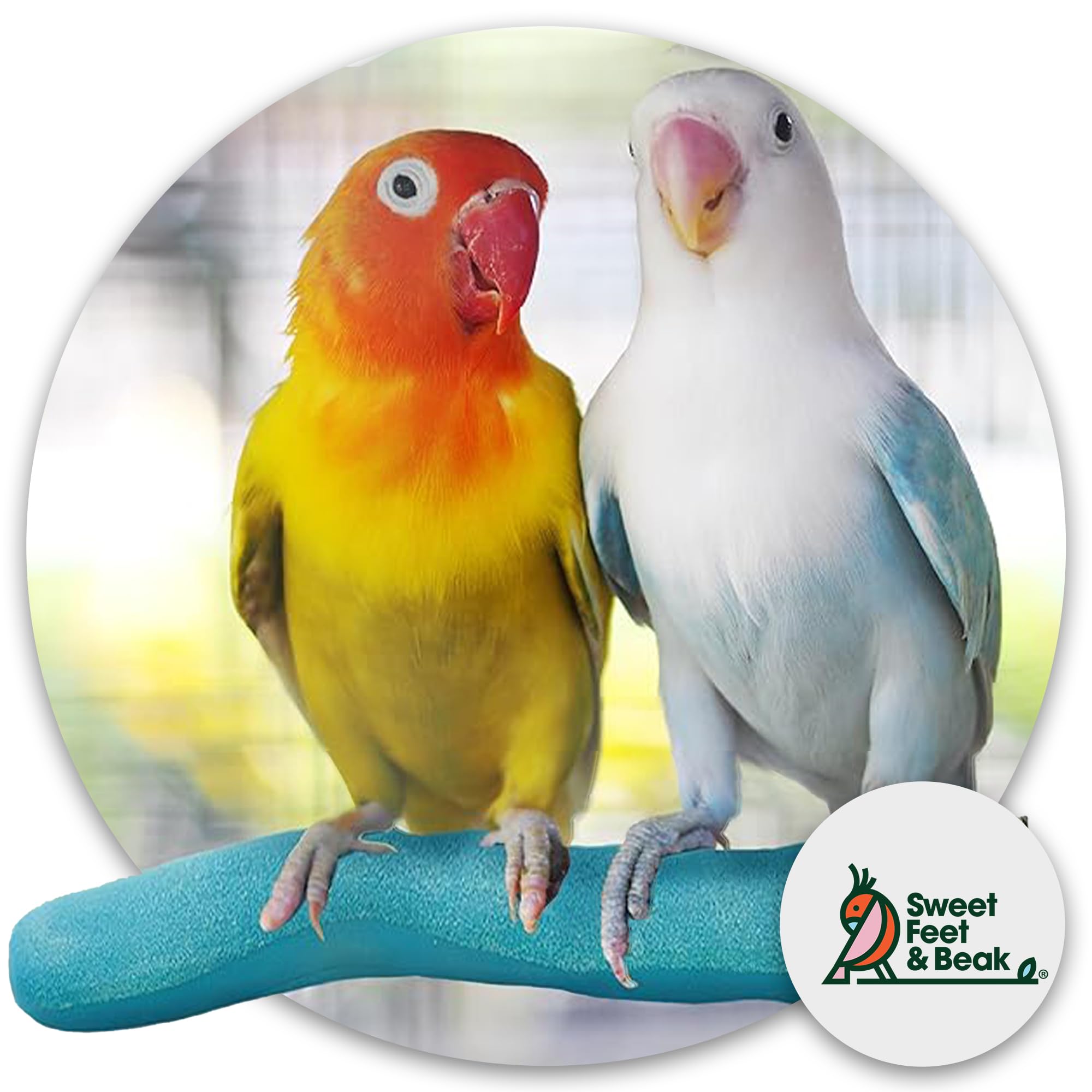 Sweet Feet and Beak Safety Pumice Bird Perch, X-Small Pedicure Perch, Purple