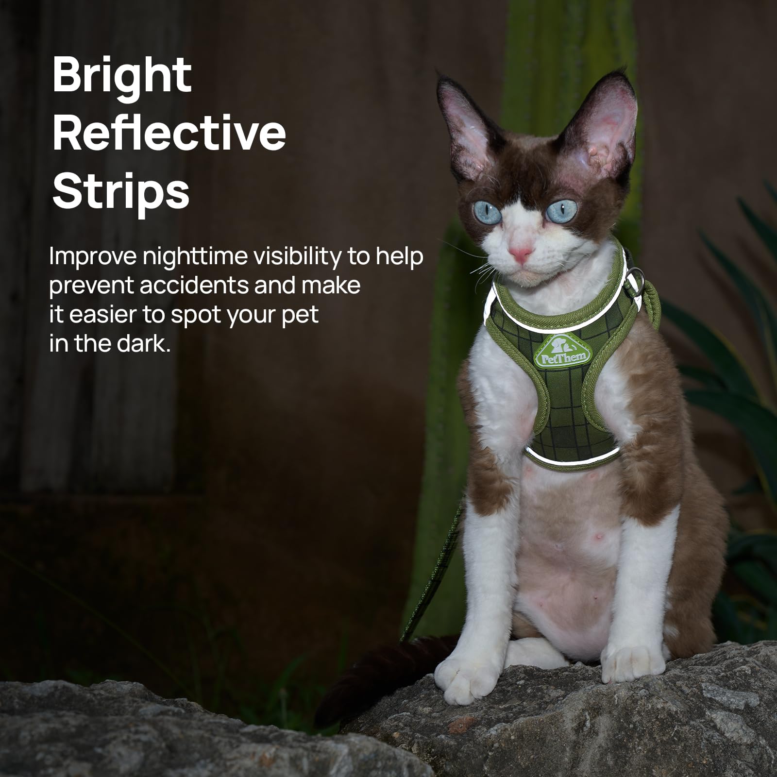 Upgraded Cat Harness and Leash Set - Step-in Escape Proof Adjustable Cat Harness, Comfortable Soft Lightweight, Reflective Harness for Walking, Travel, Camping (Green, M)