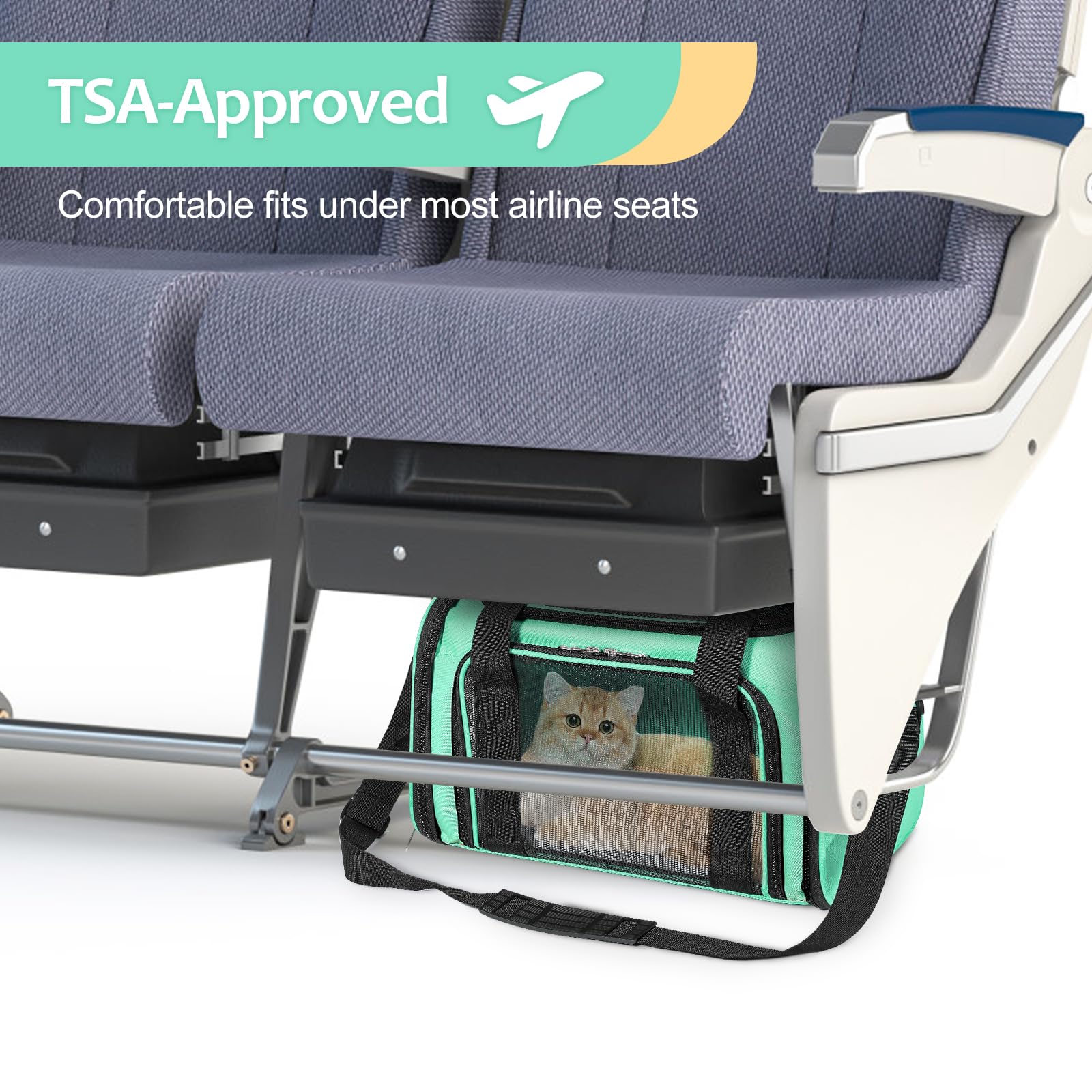 Discala Cat Dog Carrier Up to 15 Lbs TSA Airline Approved Pet Carrier for Small Medium Cats Puppies Dog Carriers for Small Dogs Collapsible Soft Sided Cat Travel Carrier - Green 15.7"x10.2"x10.2"