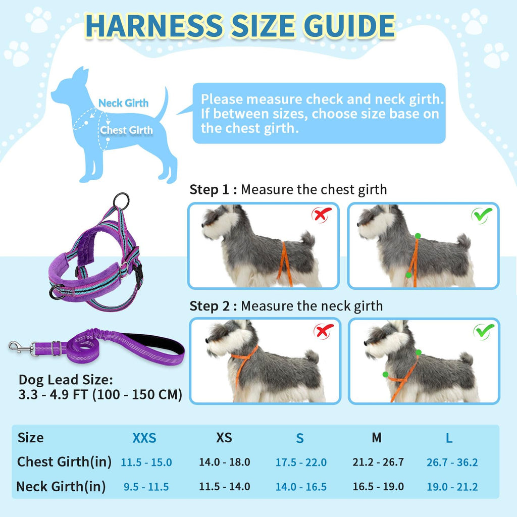 SlowTon No Pull Small Dog Harness and Leash Set with Front Clip