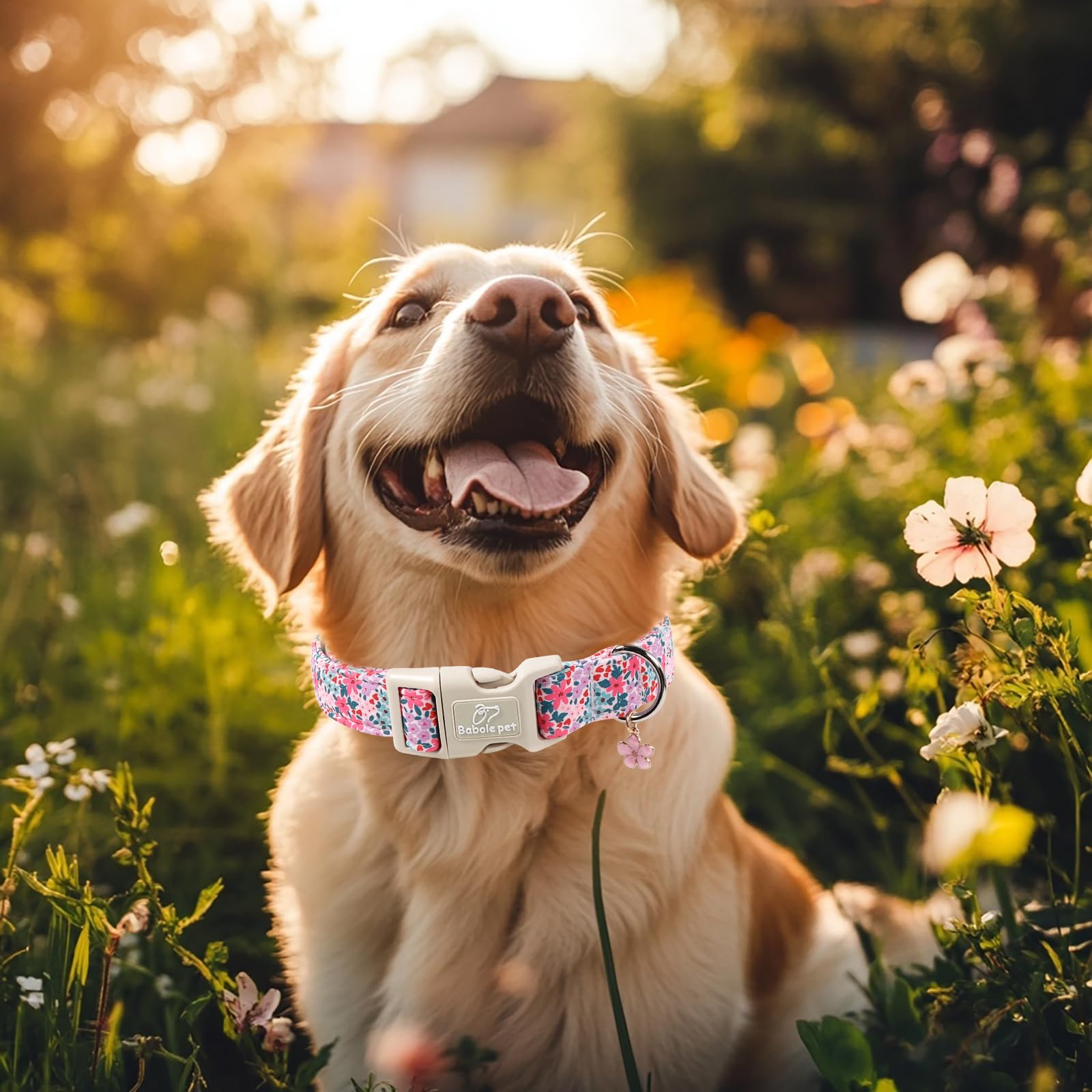 Babole Pet Floral Dog Collar, Cute Girl Dog Collars - Pastel Wildflowers Pattern Spring Summer Puppy Collar, Adjustable Female Dog Collars for Small Medium Large Dogs M