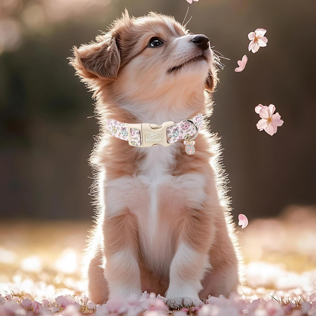 Babole Pet Easter Dog Collar for Giant Large Dogs - Easter Egg Pastel Dog Collars, Cute Girl Dogs Collar, Lightweight Adjustable Pink Spring Holiaday Dog Collars with Quick Release Bucklee XL