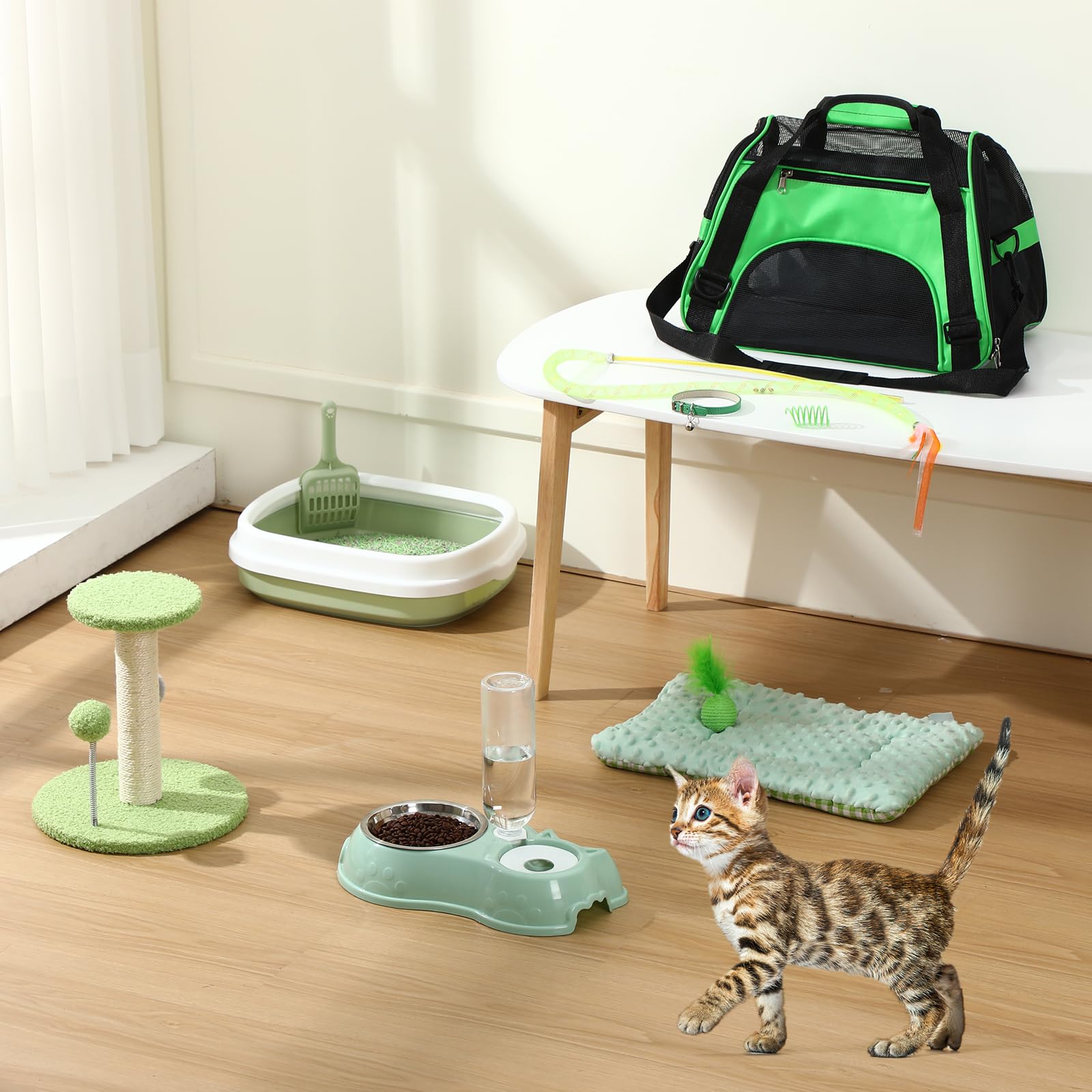 Eccliy Kitten Starter Kit, 10 Pcs Cat Starter Kit for Indoor Cats Kitten Essentials Includes Litter Box, Pet Toy, Folding Carrier, Climbing Frame, Mat, Collar, Automatic Food Bow(Classic,Green)