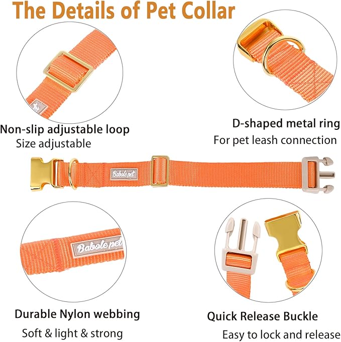 Babole Pet Nylon Dog Collar - Adjustable Orange Soft Webbing Dog Collars for Small Medium Large Dogs Boy Girl Puppy Collar with Safety Metal Buckle L