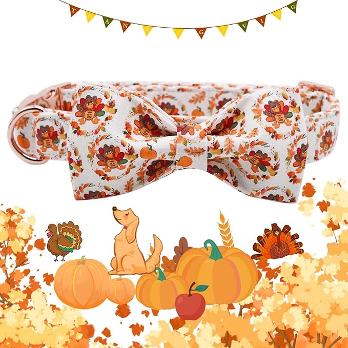 Bobo Rainbow Dog Collar - Thanksgiving Turkey Pet Collar Bowtie Gift Cotton Cute Bow Collar Adjustable Metal Buckle Soft Puppy Collars for Large Dogs