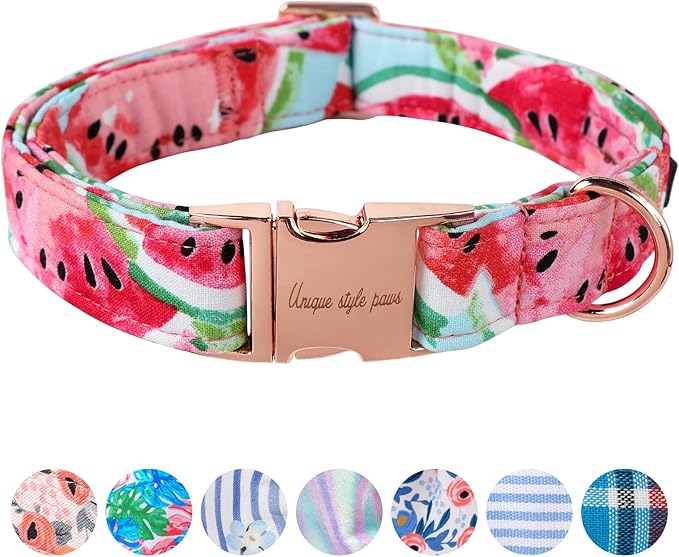 Unique style paws Dog Collar Metal Buckle Collar for Autumn Winter Christmas for Small Medium Large Boys Girls Dogs — S