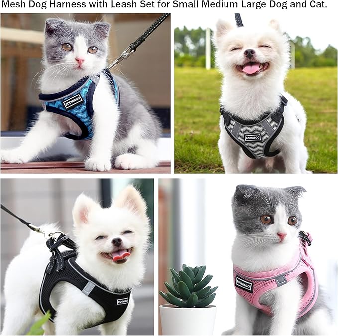 BOOMIBOO Dog Harness with Leash Set, No Pull Adjustable Reflective Step-in Puppy Pet Vest Harnesses for Small Medium Large Dogs and Cats,Blue Stripe M