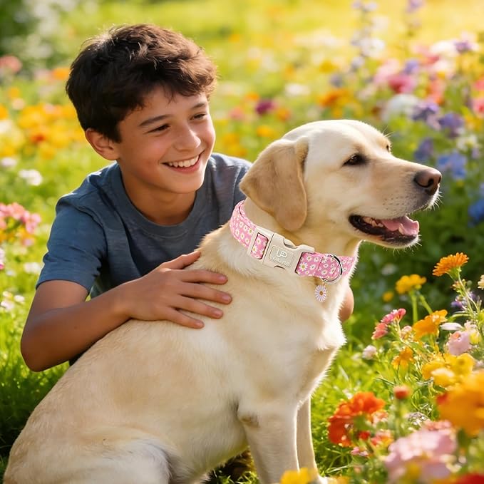 UP URARA PUP Daisy Dog Collar, Summer Cotton Dog Collar with Quick Release, Gift Pink Collars for Small Medium Large Girls or Boys Dogs Cute Durable Comfortable Pet Collars