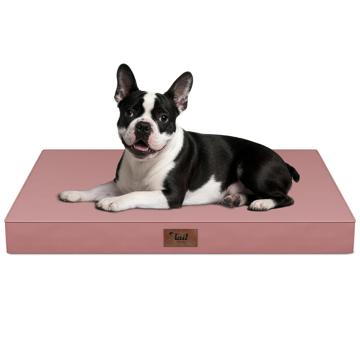 Tail Stories Orthopedic Waterproof Dog Bed for Small Dogs and Cats