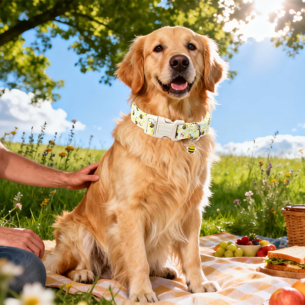 DOGWONG Spring Summer Dog Collar- Bee Flower Dog Collar, Adjustable Soft Girl Boy Dog Collar for Small Medium Dogs, M