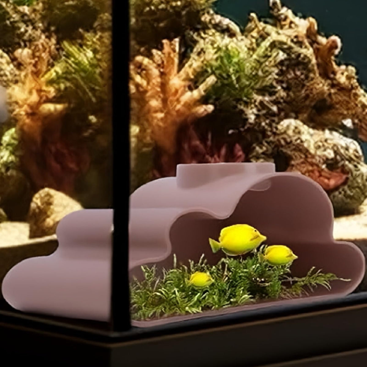 Shrimp Cave for Aquarium Tanks – Durable Fish Tank Decor, Natural Hideout for Ghost Shrimp, Fry, and Nano Fish (Easy to Clean)