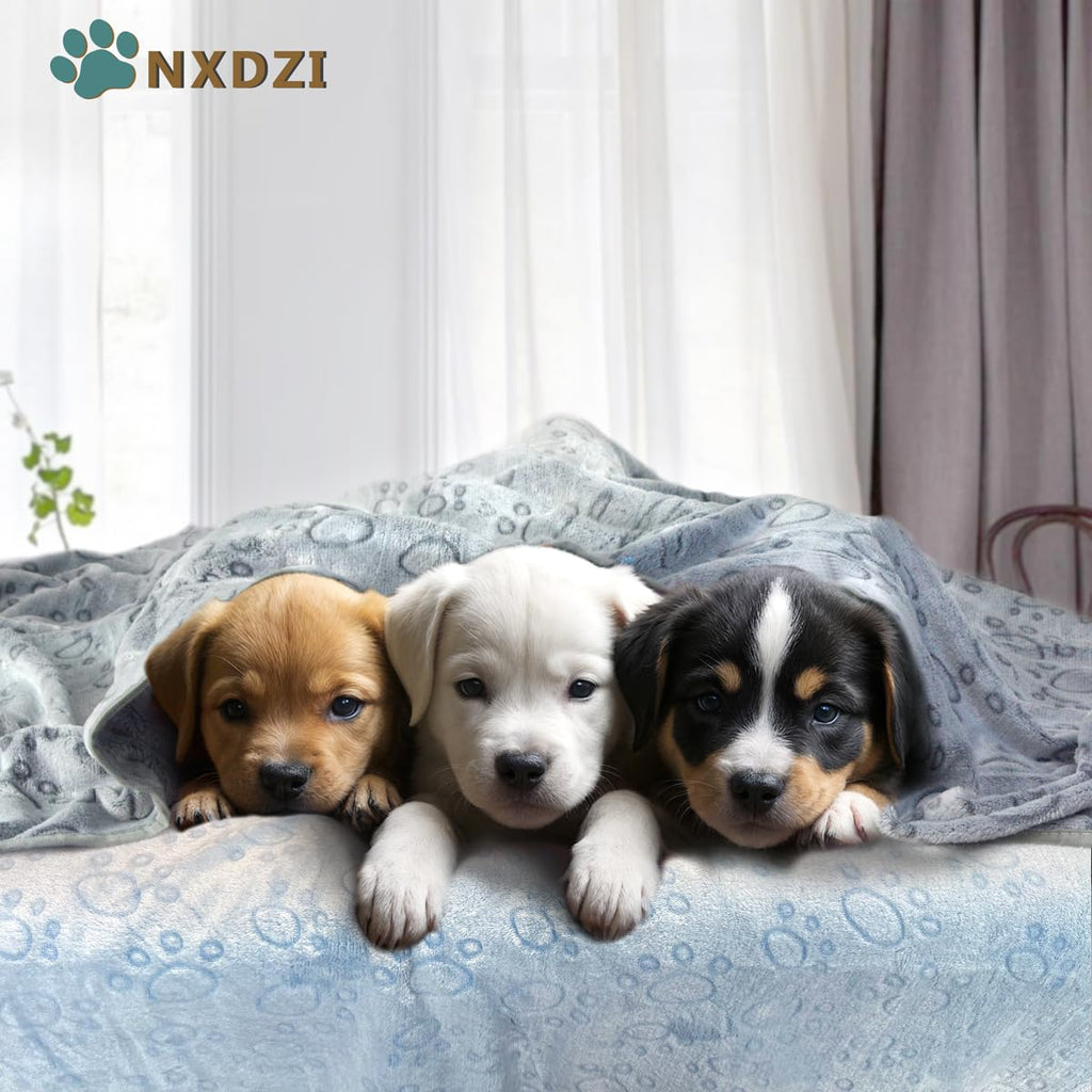 Dog Blankets for Medium Large Dogs Washable, 3 Pack Pet Blanket Washable 41" x 31", Fuzzy Soft Puppy Blanket Throw Cover for Kennel Crate Bed, Blanket for Dogs, Pet Blankets for Dog