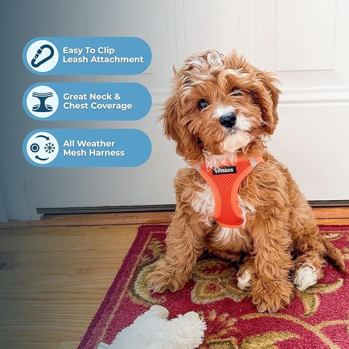 Best Pet Supplies Voyager Step-in Air All Weather Mesh Harness and Reflective Dog 5 ft Leash Combo with Neoprene Handle, for Small, Medium and Large Breed Puppies - Harness Leash Set (Orange), M