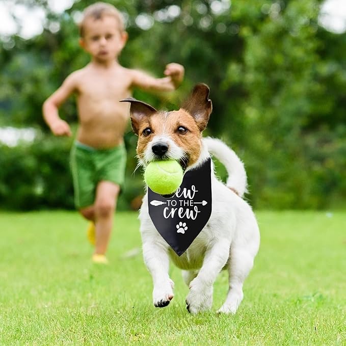 New to The Crew Dog Bandana New Puppy Announcement Gift for New Owners New Puppy Gift New Dog Announcement Photo Props Accessories for Small Medium Dogs Pets (Black)