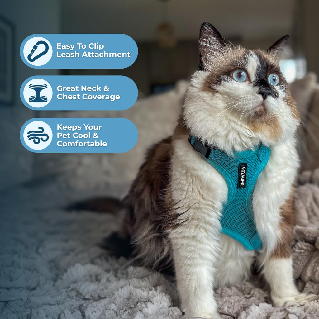 Voyager Escape-Proof Step-in Lock Cat Harness & 5ft Neoprene-Handle Leash Set All-Weather Mesh with Reflective Stitching for Small to Large Cats by Best Pet Supplies, Turquoise, XXS