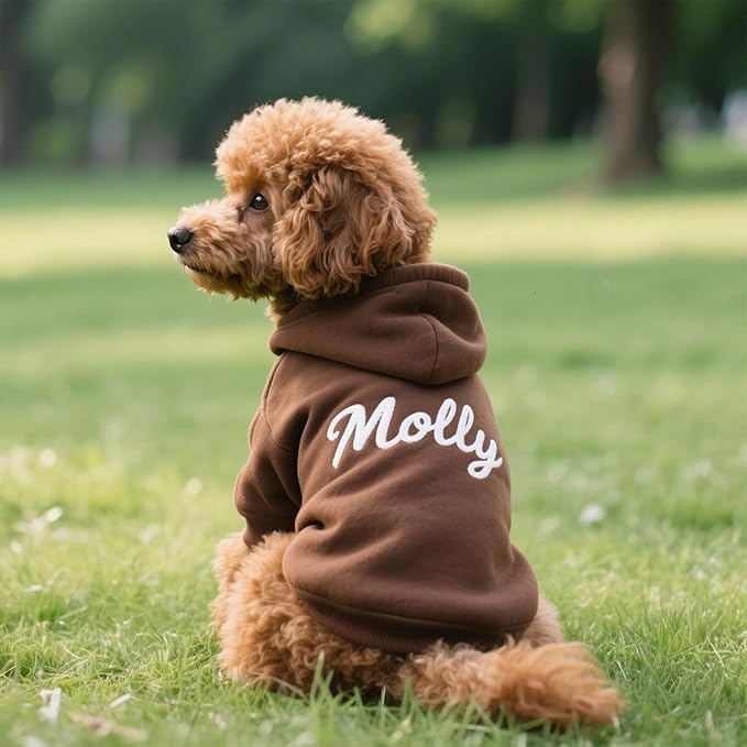 Personalized Name Dog Hoodie, Embroidered Hoodies Pets Name, Custom Pet Memorial, Bright Puppy Sweatshirt, Customized Pet Clothes Warm Winter Outfit for Dogs, Gift for Dog Lovers Style 7